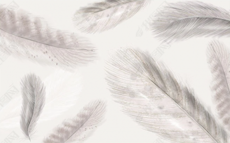 Fototapet fara imbinari Dream Delicate Feathers [1]