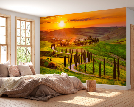 Peisaj - Fototapet fara imbinari Agriturismo Baccoleno