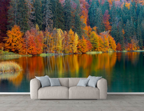 Peisaj - Fototapet Peisaj Pădure - Modern pentru Dormitor și Living