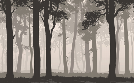 Watercolor - Fototapet fara imbinari Graphics Forest