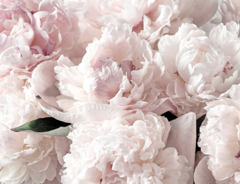 Autocolant Mobila Pentru Copii - Blushing Bouquet [1]
