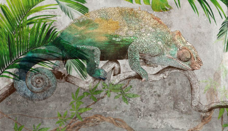 Fototapet Cameleon [1]