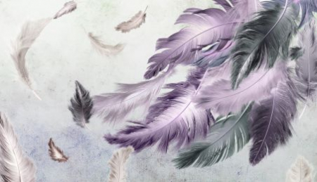Fototapet Dream Feathers [1]