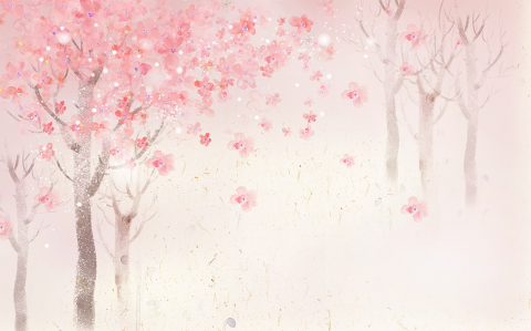 Fototapet fara imbinari Cherry Blossom [1]
