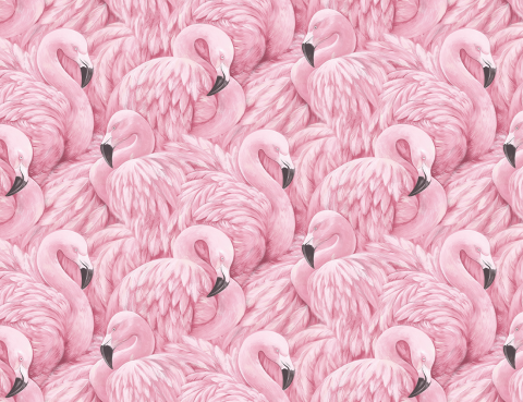 Pentru copii - Fototapet Fara Imbinari Pentru Copii - Flamingo