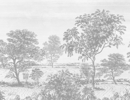 Peisaj - Fototapet fara imbinari - Vintage Gray