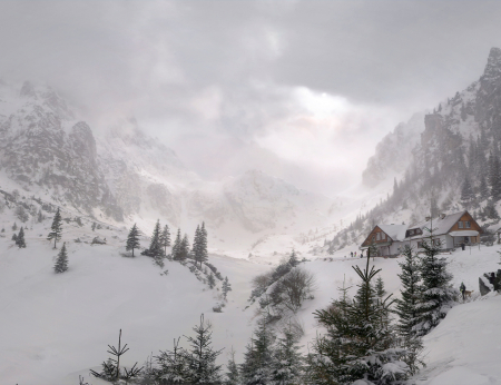 Fototapet Fara Imbinari - Winter Paradise [3]