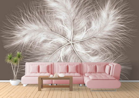 Fototapet fara imbinari - Fototapet Feather Dream