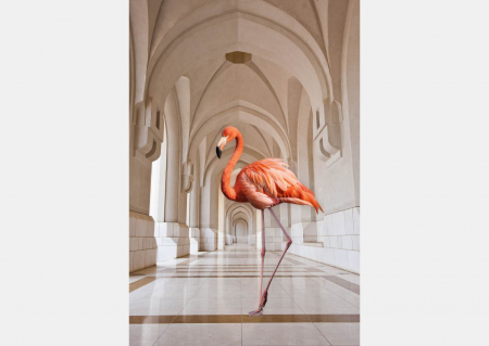 Fototapet Flamingo on the Hallway [1]