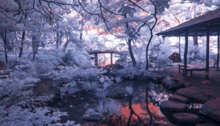 Fototapet Grădina Japoneză 3 [1]