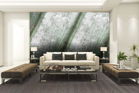 ExclusivArt - Fototapet Living & Dormitor Exclusive Art - Aloeo