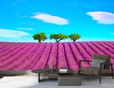Fototapet fara imbinari - Fototapet Living & Dormitor - Lavander Summer