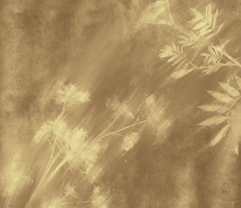 Fototapet Living & Dormitor Original - Pastel Dream [1]