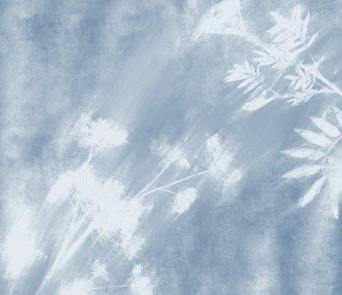Fototapet Living & Dormitor Original - Pastel Dream [3]