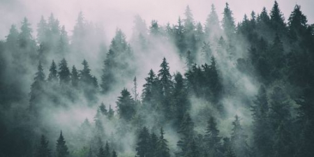 Fototapet Mountain Mist [1]