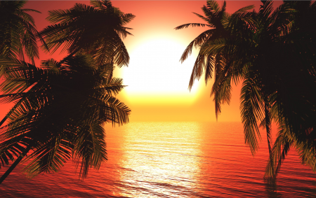 Fototapet fara imbinari Love Sunset [2]