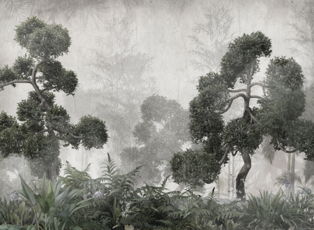 Fototapet fara imbinari Rainforest Foggy [2]