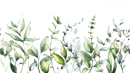Fototapet Watercolor Fowers [1]