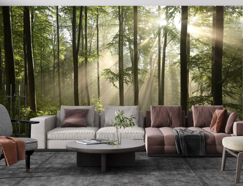 Fototapetul premium "Forest Morning Rays" [1]