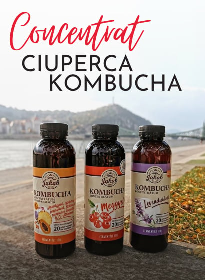 Kombucha