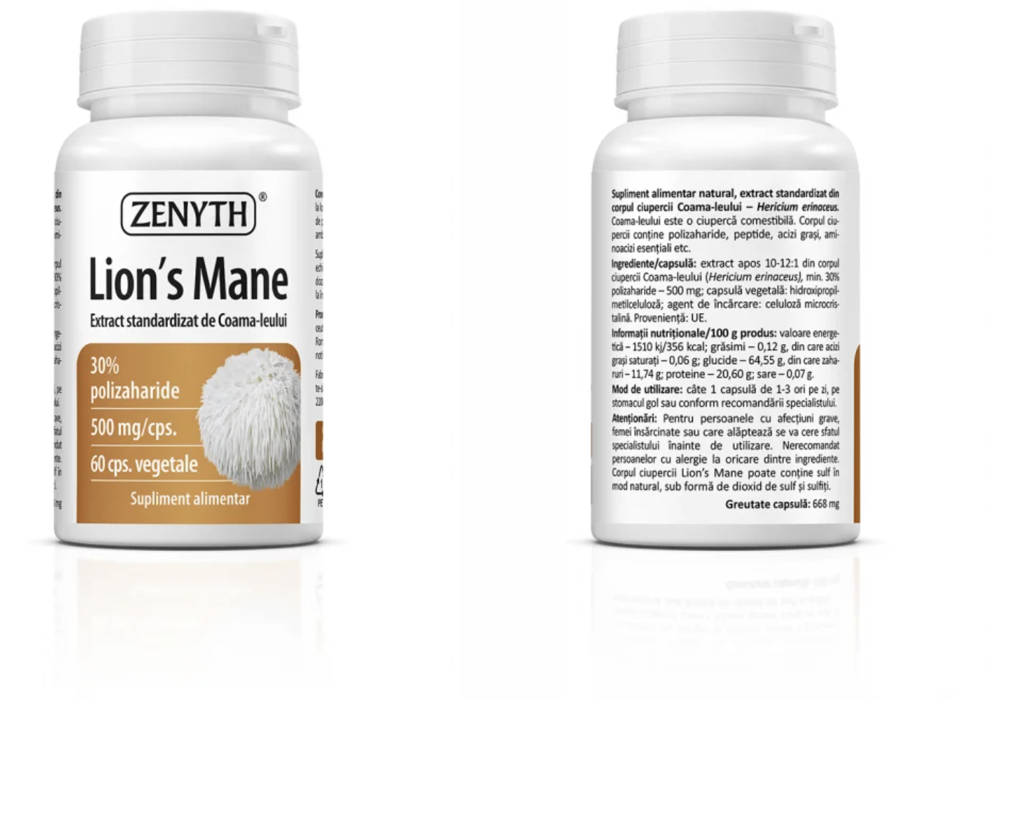Descoperiti Lion's Mane: Ciuperca medicinala care imbunatateste sanatatea cognitiva, digestiva si amelioreaza anxietatea