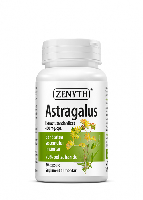 Astragalus [1]