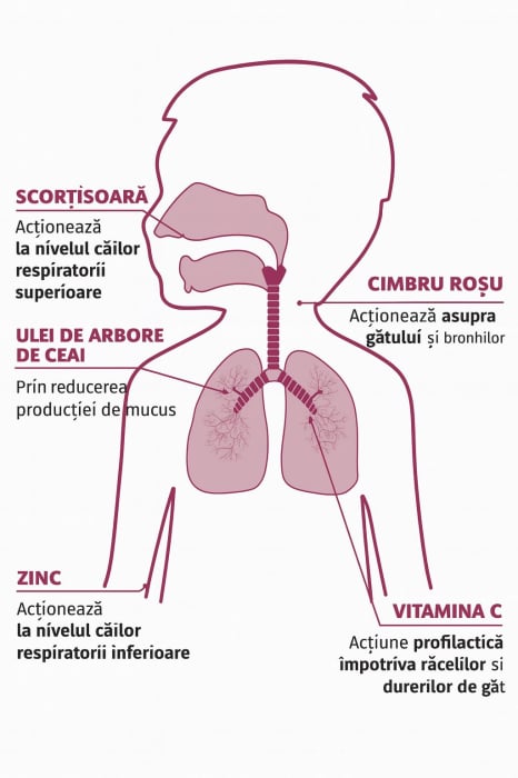 BABYGOLA-BabyGola Spray (Zinc, Vitamina C, uleiuri esențiale de arbore de ceai, cimbru roșu și scorțișoară) – Roșu în gât, răgușeală și imunitate locală [2]