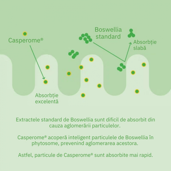 Curcumin Theracurmin Plus Boswellia Phytosome (60 capsule), Neutrient [6]