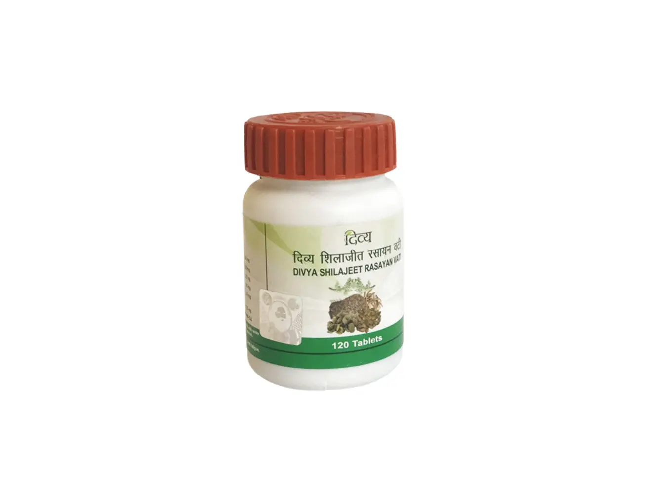 Divya Rasayan Vati (Remediu – Potenta Masculina ) –120 tablete x 300mg [2]