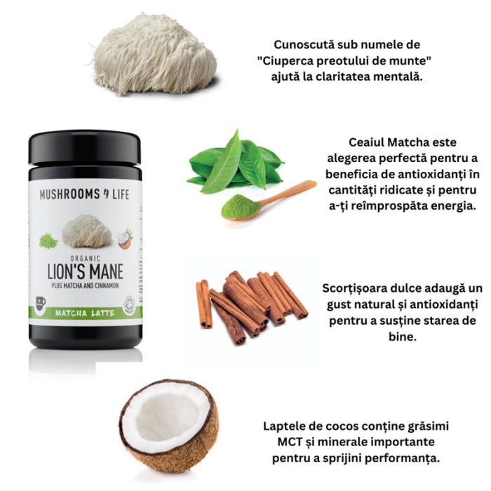 Organic Lions Mane Matcha Latte Pure Grade Extract 110 grame (20 portii), MushroomsForLife [2]