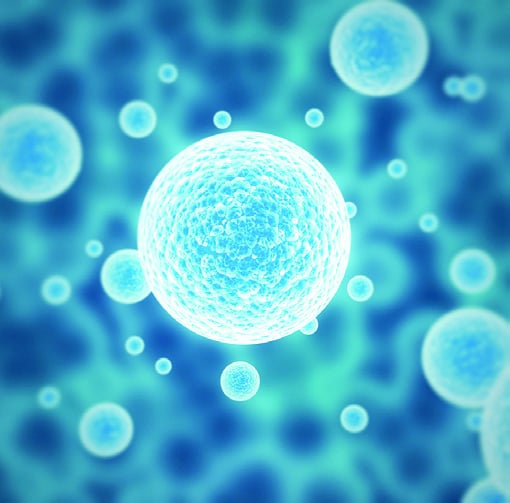 Pachet Biostem Prostată( Susține sănătatea prostatei) * 120 cps [2]
