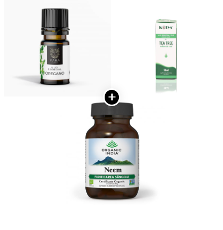 Protocol ''PAPILOAME/NEGI'' [1]