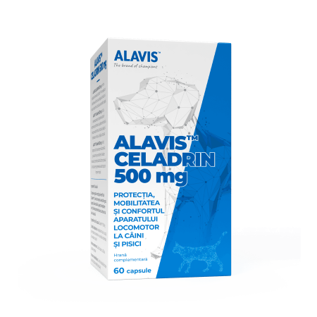 Îngrijire și Suplimente Animale - ALAVIS™ Celadrin 500mg | Supliment Articulații Câini & Pisici | Mobilitate.