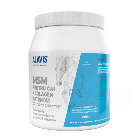 Îngrijire și Suplimente Animale - ALAVIS™ MSM Cai 600 G - Articulații flexibile cai