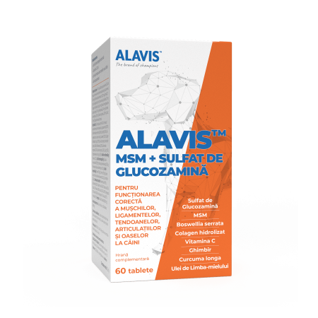 Îngrijire și Suplimente Animale - ALAVIS™ MSM și Glucozamină 60 tbl - Nutriție și Confort Articulații câini