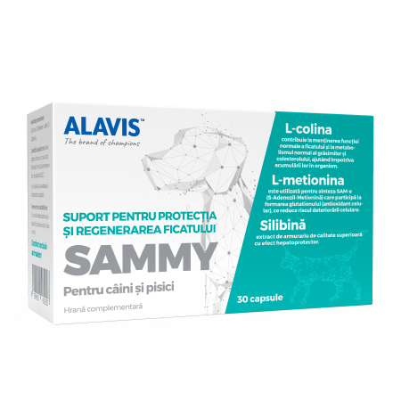 Îngrijire și Suplimente Animale - ALAVIS™ Sammy 30 cps - Suport hepatic și cognitiv câini și pisici