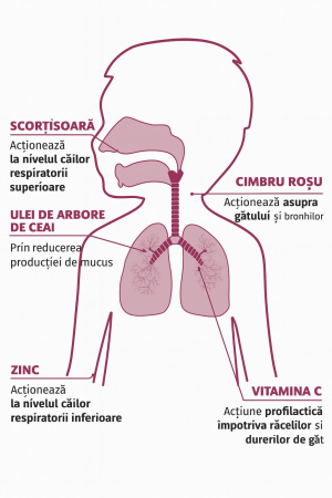 BABYGOLA-BabyGola Spray (Zinc, Vitamina C, uleiuri esențiale de arbore de ceai, cimbru roșu și scorțișoară) – Roșu în gât, răgușeală și imunitate locală [1]