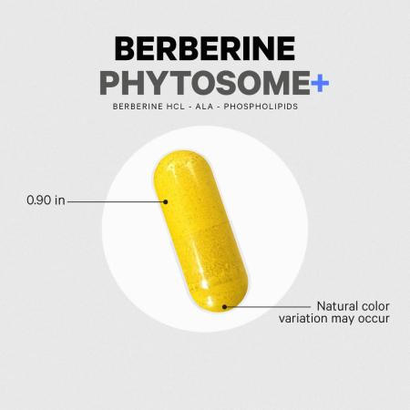 Codeage Berberine Phytosome,formula Pentru Echilibru Glicemic Si Sustinerea Metabolismului Cu Berberina, 60 Cps [6]