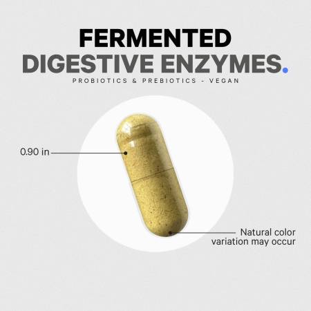 Codeage Fermented Digestive Enzymes With Probiotics & Prebiotics, Enzime Digestive Cu Probiotice Si Prebiotice Pentru Sustinerea Digestiei, 90 Cps [10]