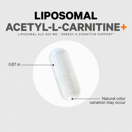 Codeage Liposomal Acetyl L-carnitine+, Formula Pentru Suport Cognitiv Si Vitalitate Zilnica, 90 Cps [4]