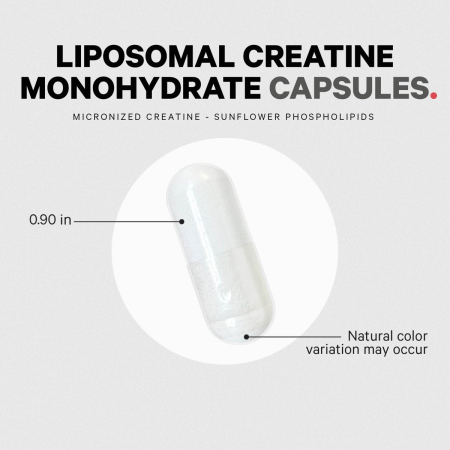 Codeage Liposomal Creatine Monohydrate, Creatina Monohidrata Lipozomala, 360 Cps [5]