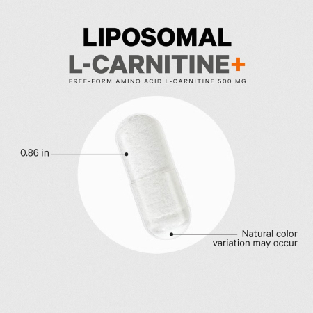 Codeage Liposomal L-carnitine+ , L-carnitina Lipozomala Pentru Energie Celulara Si Suport Metabolic, 90 Cps [3]