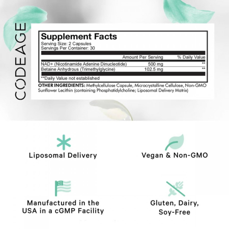 Codeage Liposomal Nad+ Eternal, Nicotinamide Adenine Dinucleotide, Nad+ Liposomal Cu Betaina Tmg, 60 Cps [1]