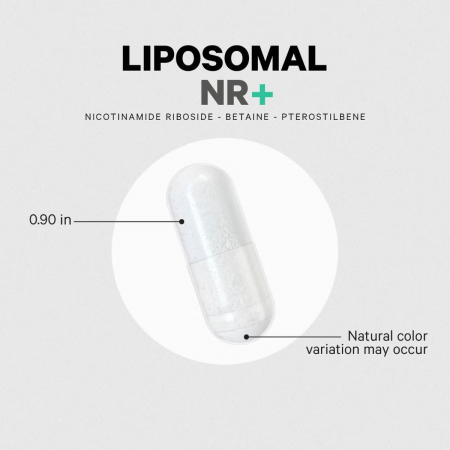 Codeage Liposomal Nicotinamide Riboside+, Nr+ Nicotinamida Lipozomala Ribozida + Tmg Si Pterostilben, 60 Cps [1]