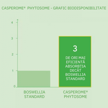 Curcumin Theracurmin Plus Boswellia Phytosome (60 capsule), Neutrient [6]