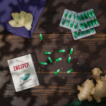 Suplimente alimentare - Engypep capsule – Suport digestiv
