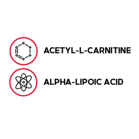 Gnc Acetyl-l-carnitine Alpha-lipoic Acid, Ala Acetil L-carnitina 500 Mg Si Acid Alfa Lipoic 200 Mg, 60 Tb [1]