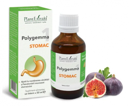Spray/Tincturi/Gemoderivate - Polygemma 1 - Stomac, 50 ml