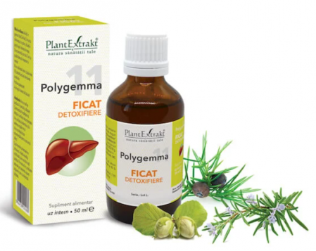 Suplimente alimentare - Polygemma 11 - Ficat detoxifiere, 50 ml