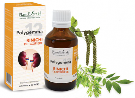 Spray/Tincturi/Gemoderivate - Polygemma 12 - Rinichi detoxifiere, 50 ml